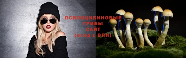 спайс Лихославль
