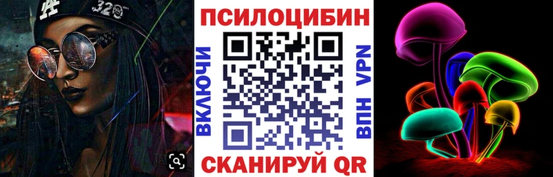 Псилоцибиновые грибы Psilocybe  Усть-Джегута 