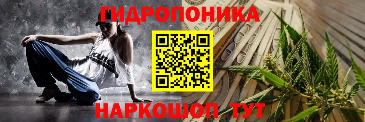 Каннабис White Widow Усть-Джегута
